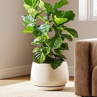 Maceta de Cerámica Esmaltada, Maceta de 30 cm con Orificio de Drenaje y Plato, Maceta de Interior Duradera para Decoración Moderna del Hogar, Beige