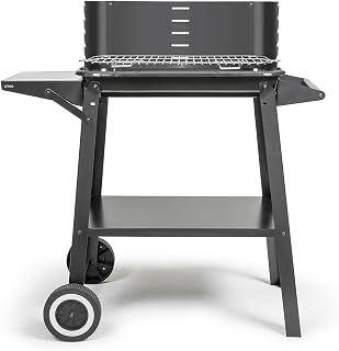 Barbacoa de carbón DOC328-48,5x28,8 cm de cocina, 5 niveles de cocina, acero pintado, rejilla de acero cromado